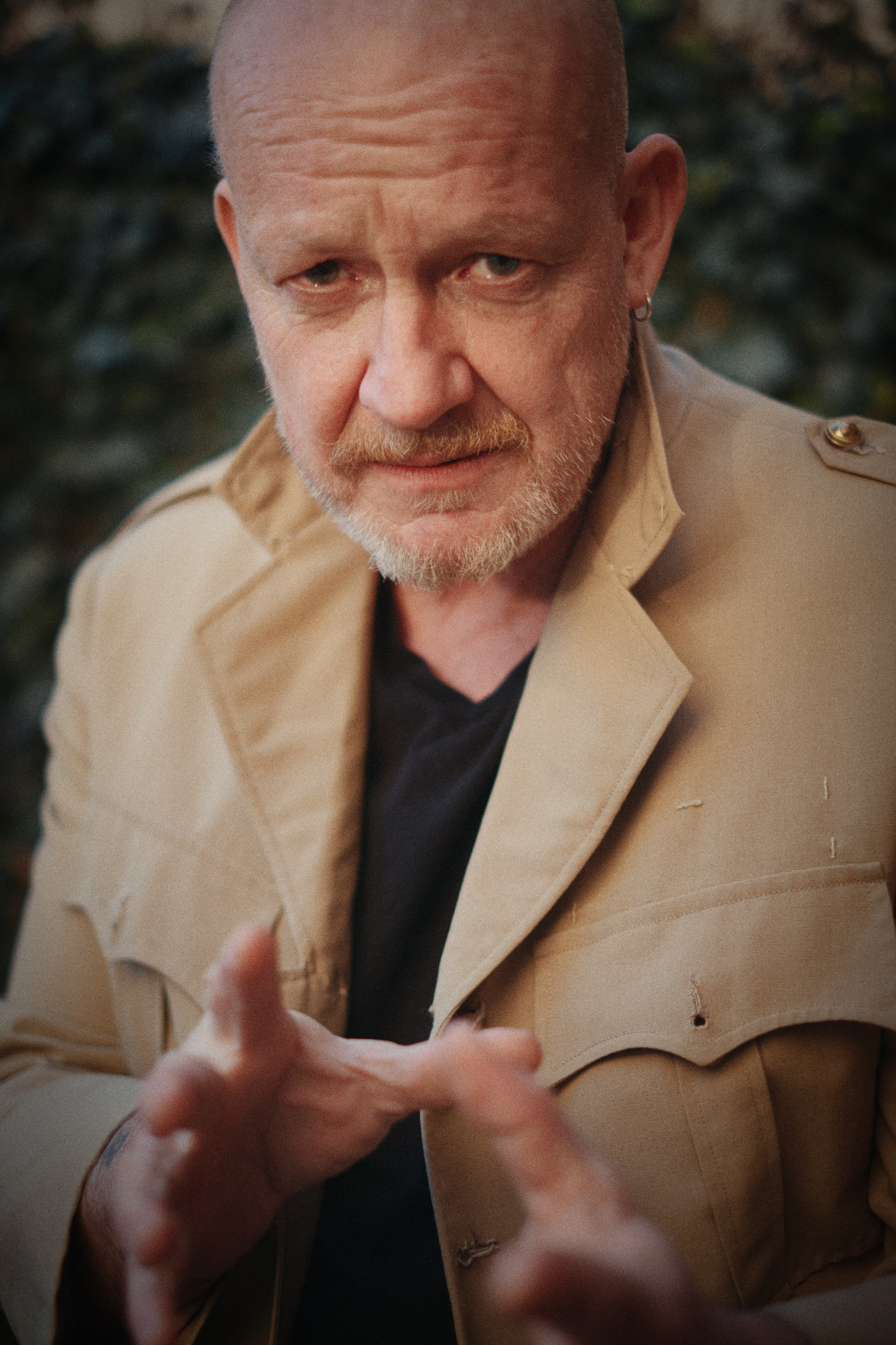 ludo vici fotos 2025 11