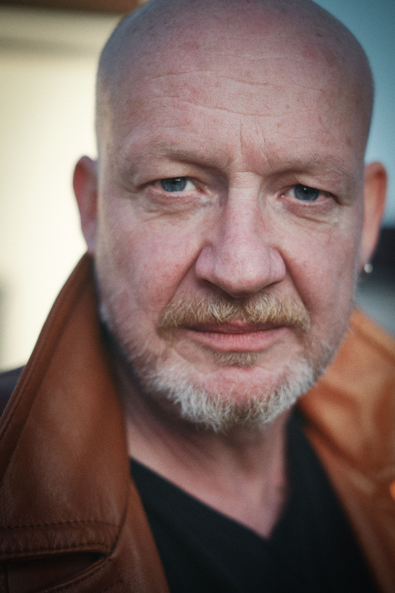 ludo vici fotos 2025 5